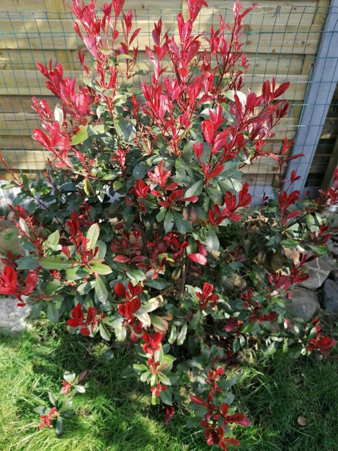 Logies Lily Leilighet Oudenburg Eksteriør bilde
