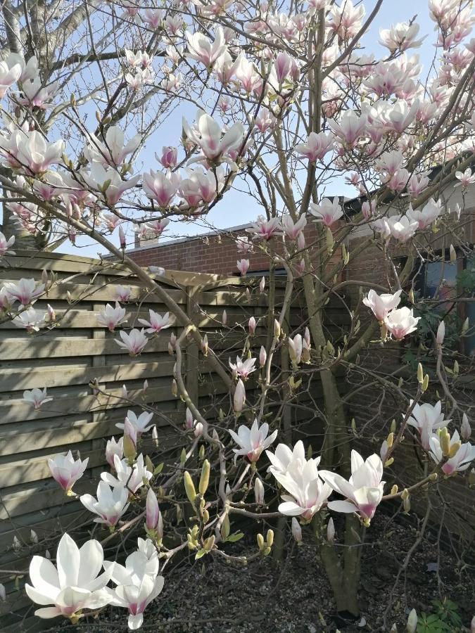 Logies Lily Leilighet Oudenburg Eksteriør bilde
